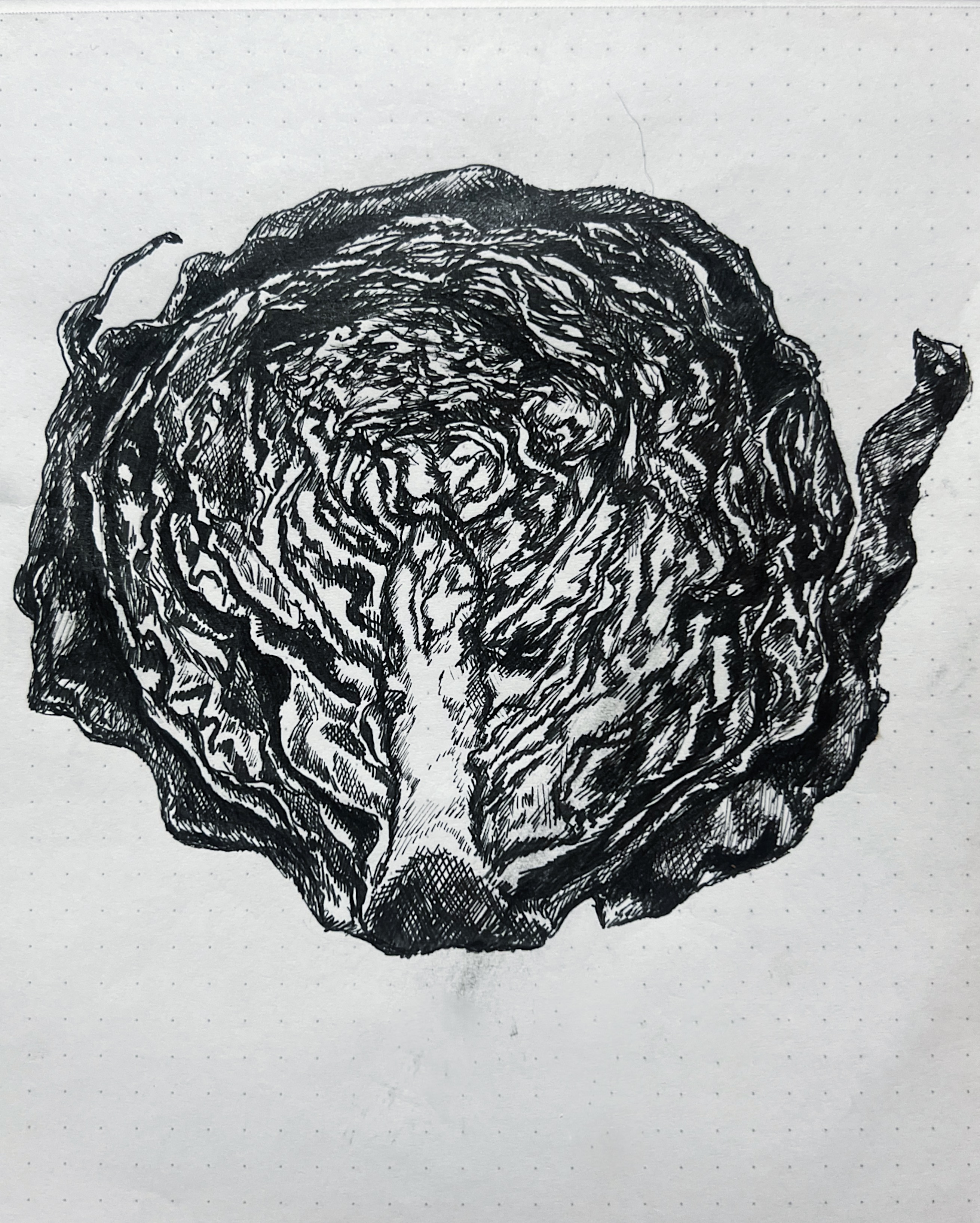 Brussels Sprout Study